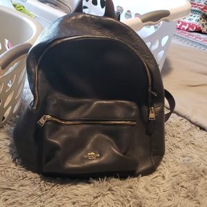 I have way to many bags a nd purses